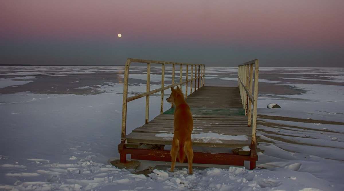 ))) ��� �� ���� ����� �����  �� PhotoGeek.ru #�������� ��� #������ ��� �������