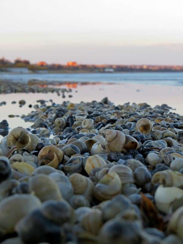 ���������� ����� ����� �����  �� PhotoGeek.ru #������ ��� �������