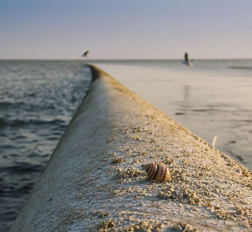 � � � ������ �� �����..... ����� �����  �� PhotoGeek.ru #������ ��� �������