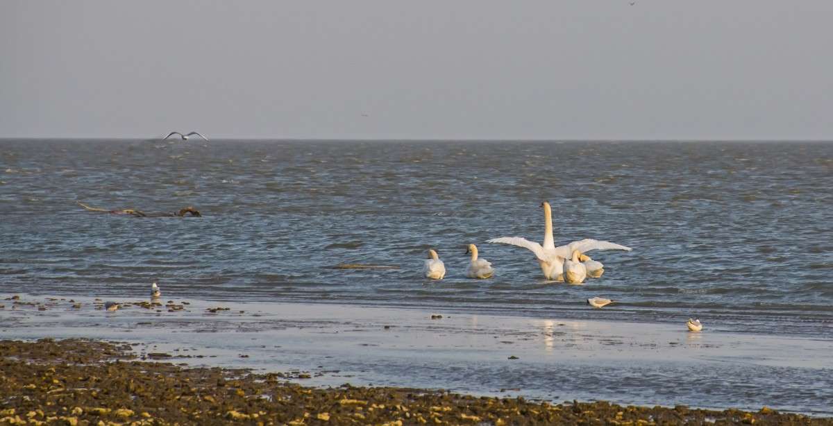 ��� ���������!!!!!!!!!!!!!!!!!!! ����� �����  �� PhotoGeek.ru #�������� ��� #������ ��� �������