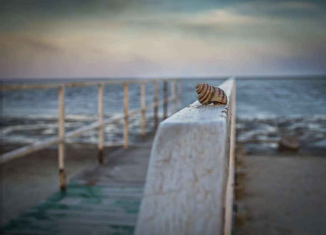 ... ����� �����  �� PhotoGeek.ru #������ ��� �������