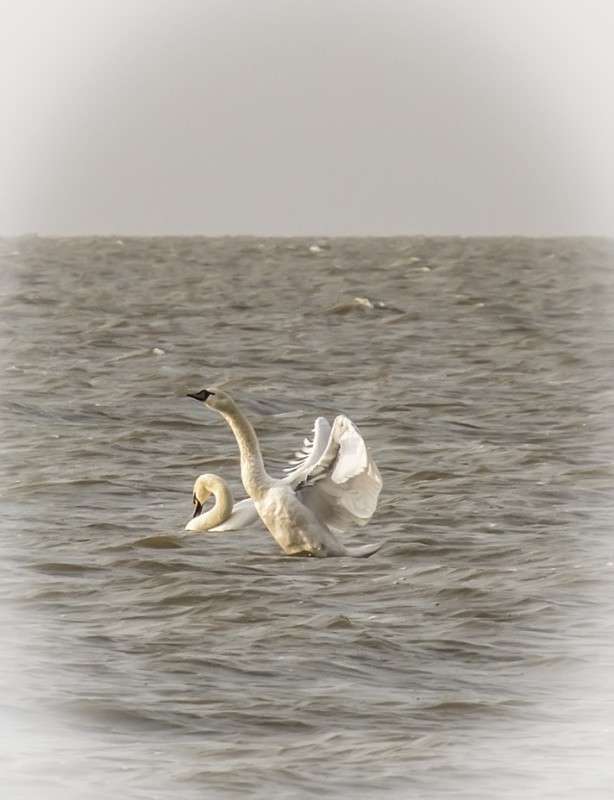 ������ ����� �����  �� PhotoGeek.ru #�������� ��� #����� ��� ��� ���������