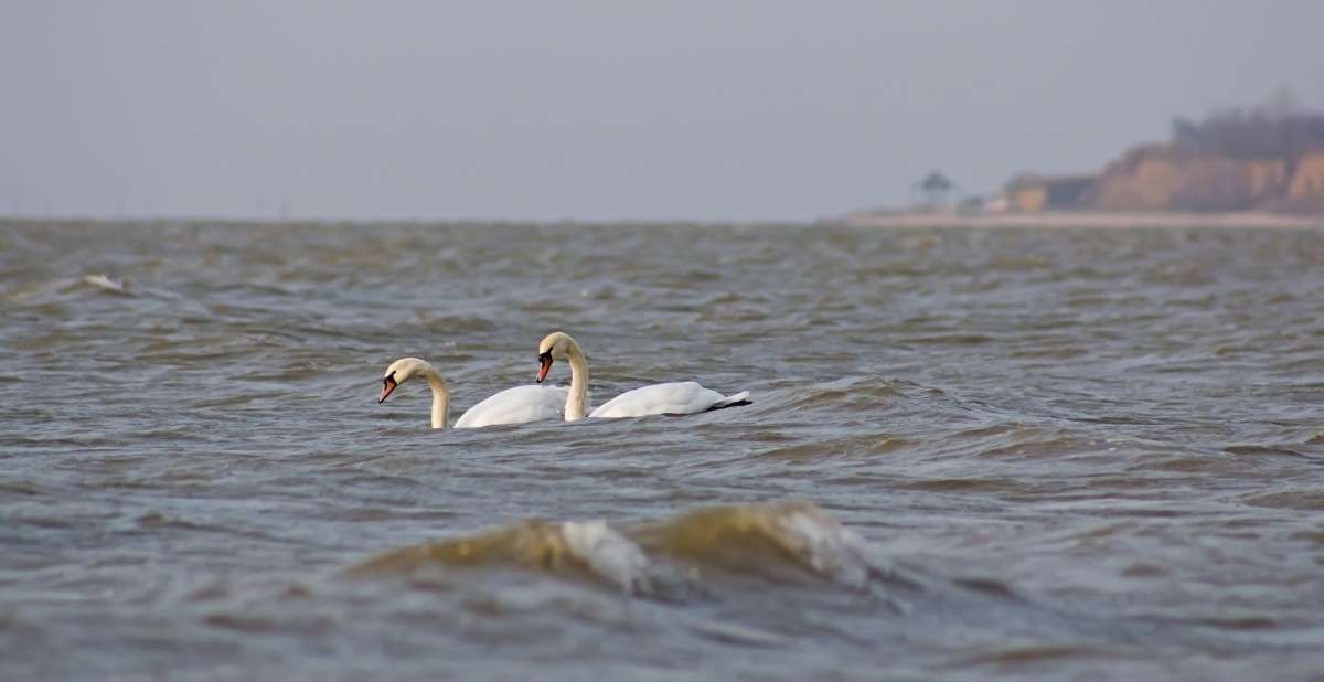 ������ ����� �����  �� PhotoGeek.ru #�������� ��� #����� ��� ��� ���������