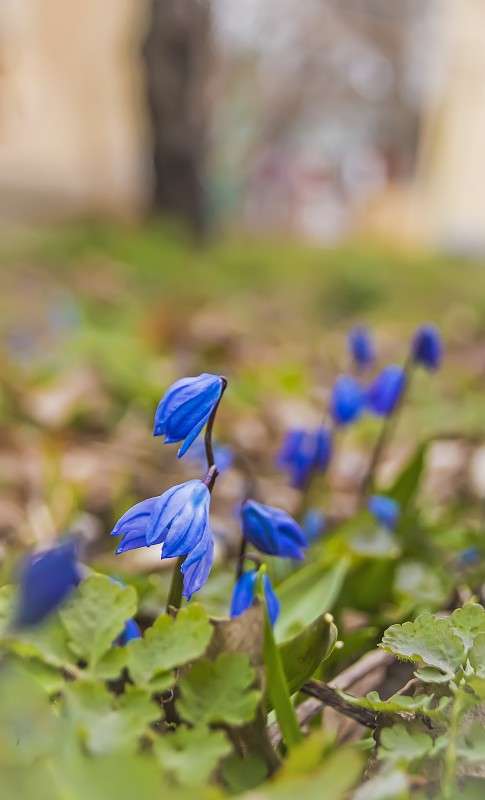 ��������) ����� �����  �� PhotoGeek.ru #������ ��� ������� #����� ��������������