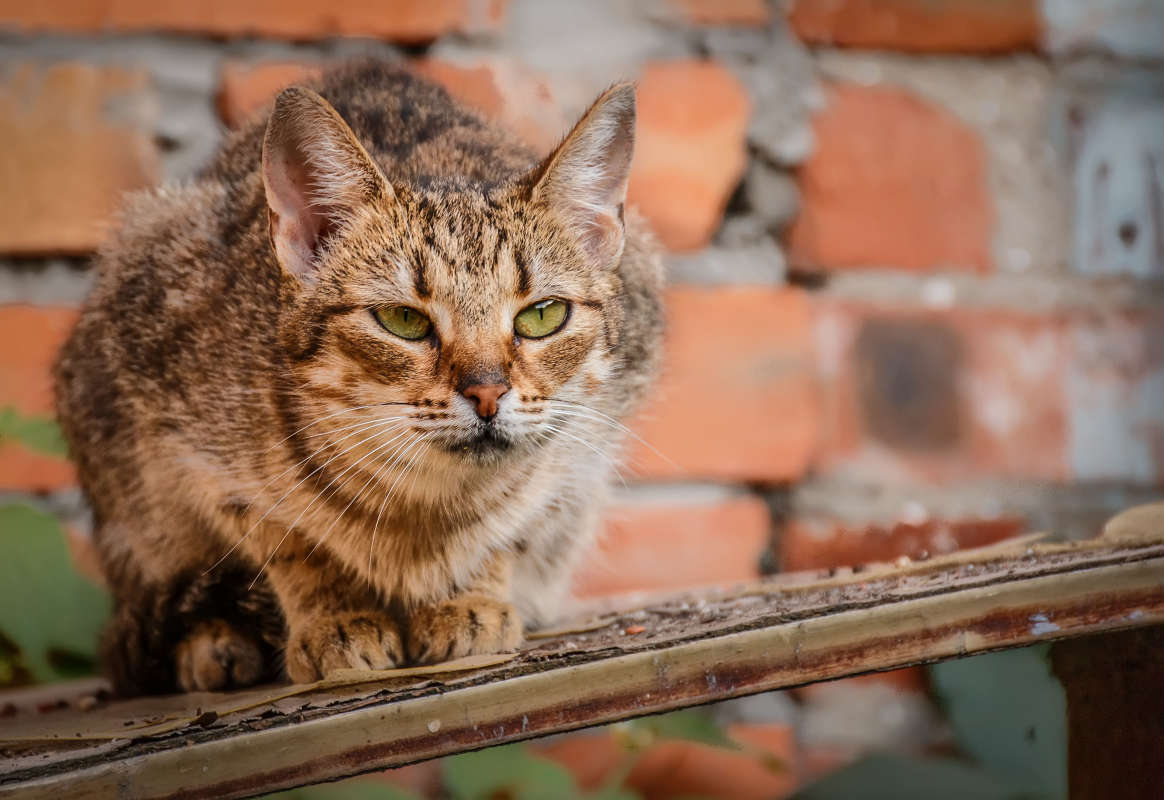 ����� ����� �����  �� PhotoGeek.ru #�������� ���