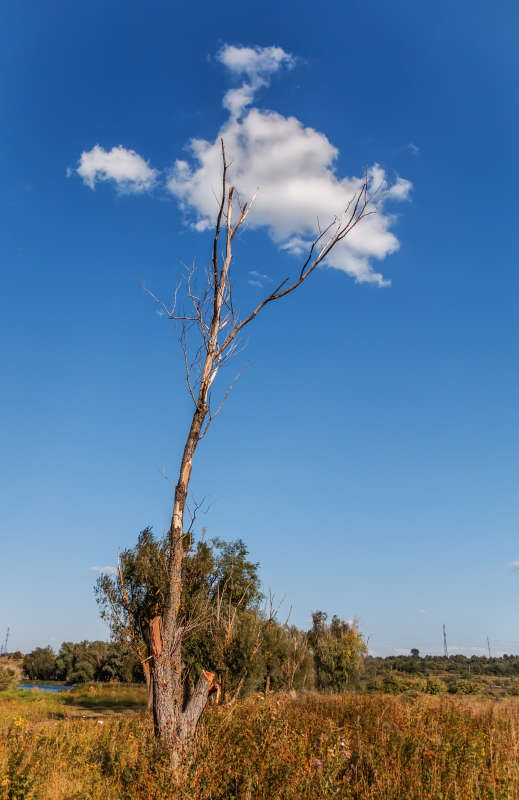 �������� ����� ����� �����  �� PhotoGeek.ru #������ ��� �������