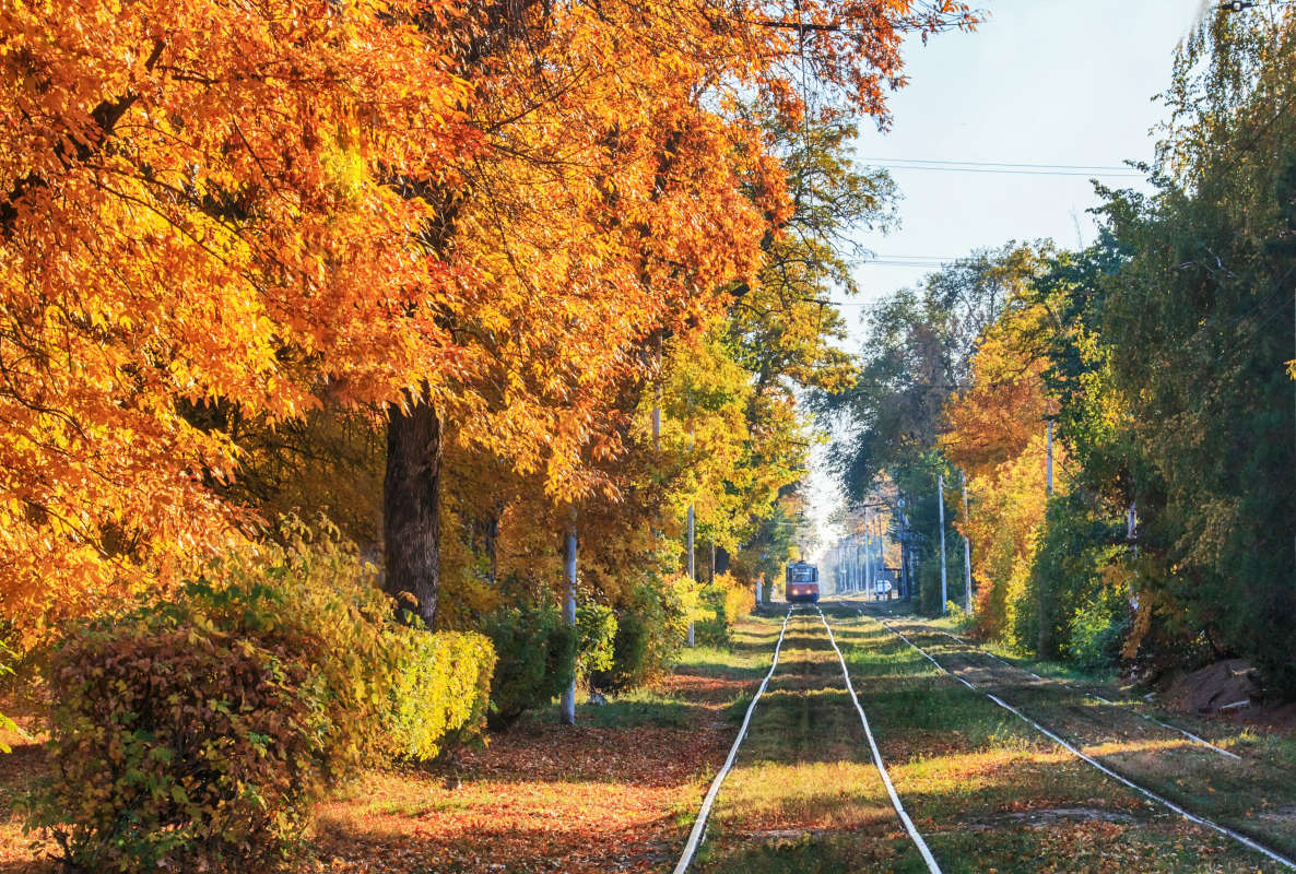 Осенний трамвайчик автор Ирина  на PhotoGeek.ru #Пейзаж или природа