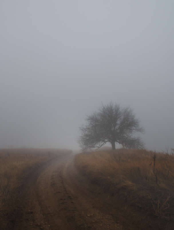 Одиночество автор Ирина  на PhotoGeek.ru #Пейзаж или природа