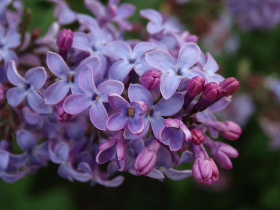 ������ ����� ������ �������� �� PhotoGeek.ru #�����