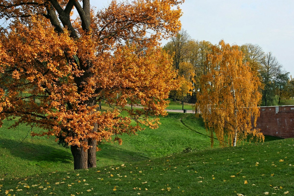 ����� � �������� ����� ����� ��������� �� PhotoGeek.ru #������ ��� �������