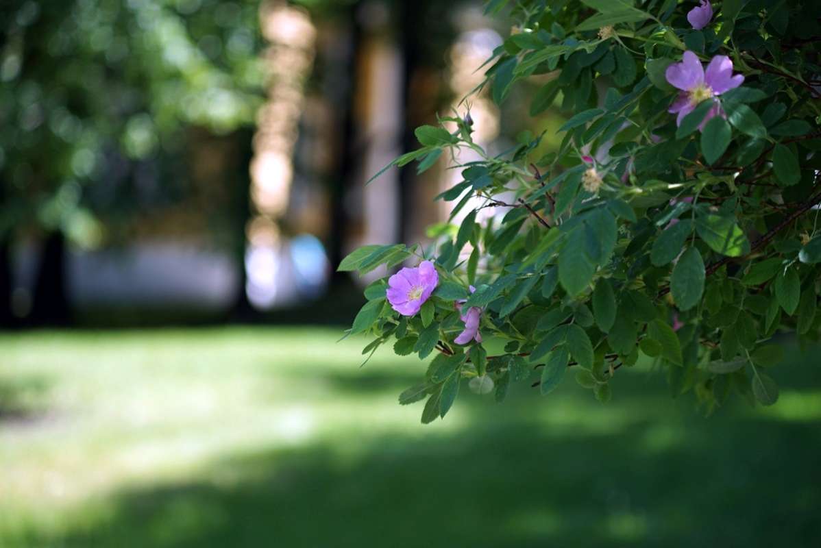 � ��������� ����� ����� ����� ��������� �� PhotoGeek.ru #������ ��� �������