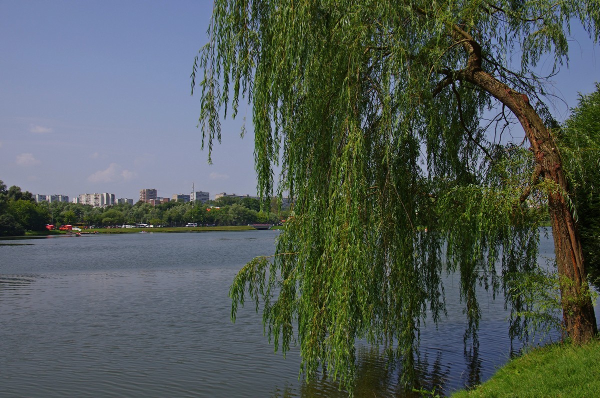 ����������� ����� ����� ����� ��������� �� PhotoGeek.ru #������ ��� �������