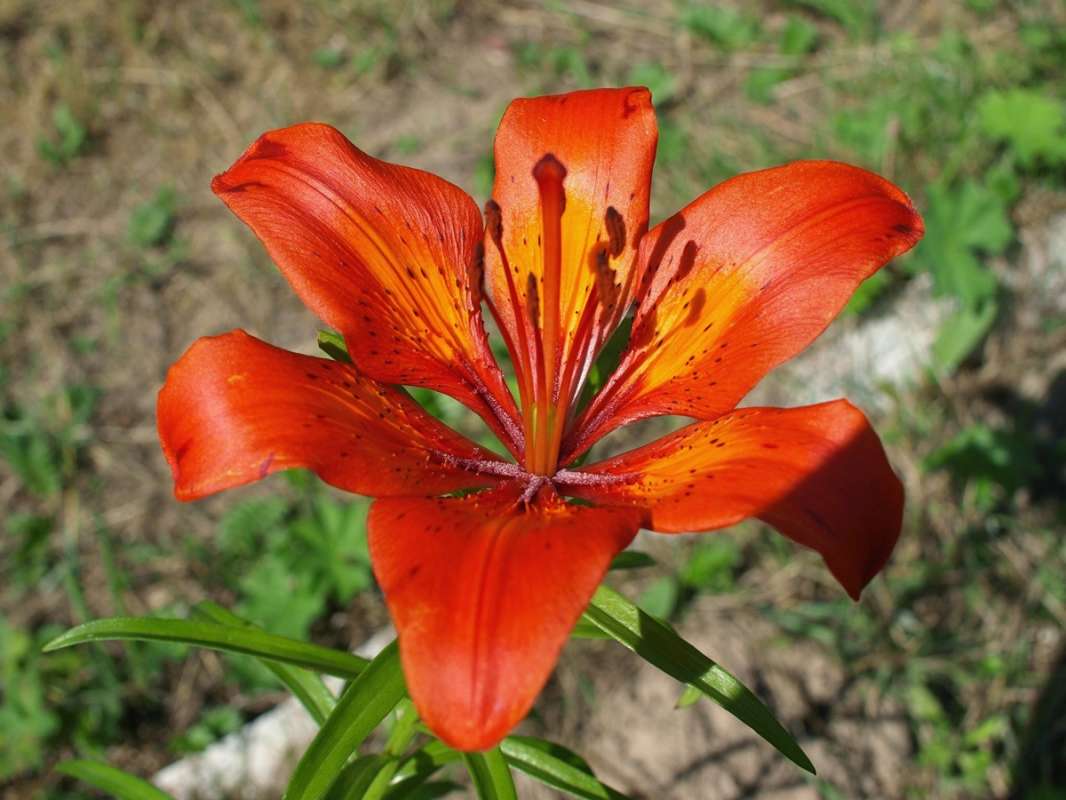 ������ ����� ����� ��������� �� PhotoGeek.ru #������ ��� �������