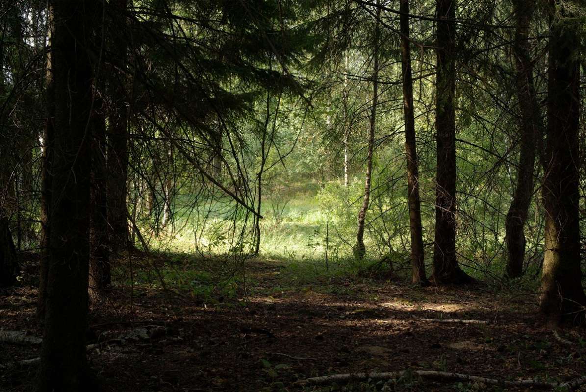 � ���� ����� ����� ��������� �� PhotoGeek.ru #������ ��� �������