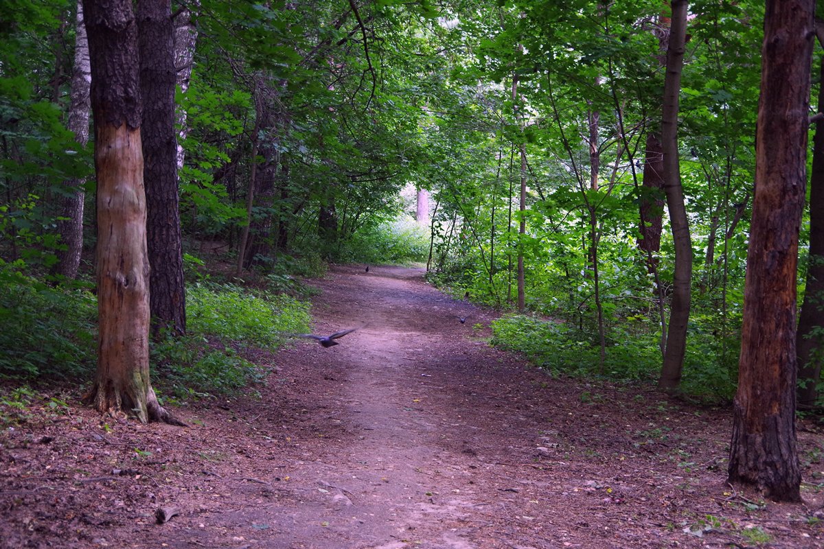 �������� ����� ����� ��������� �� PhotoGeek.ru #������ ��� �������