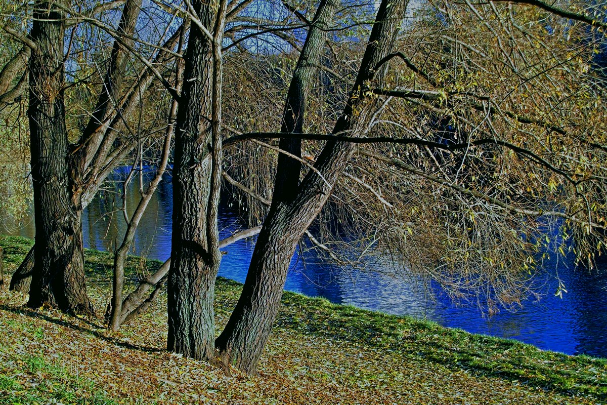 � ����� ����� ����� ��������� �� PhotoGeek.ru #������ ��� �������