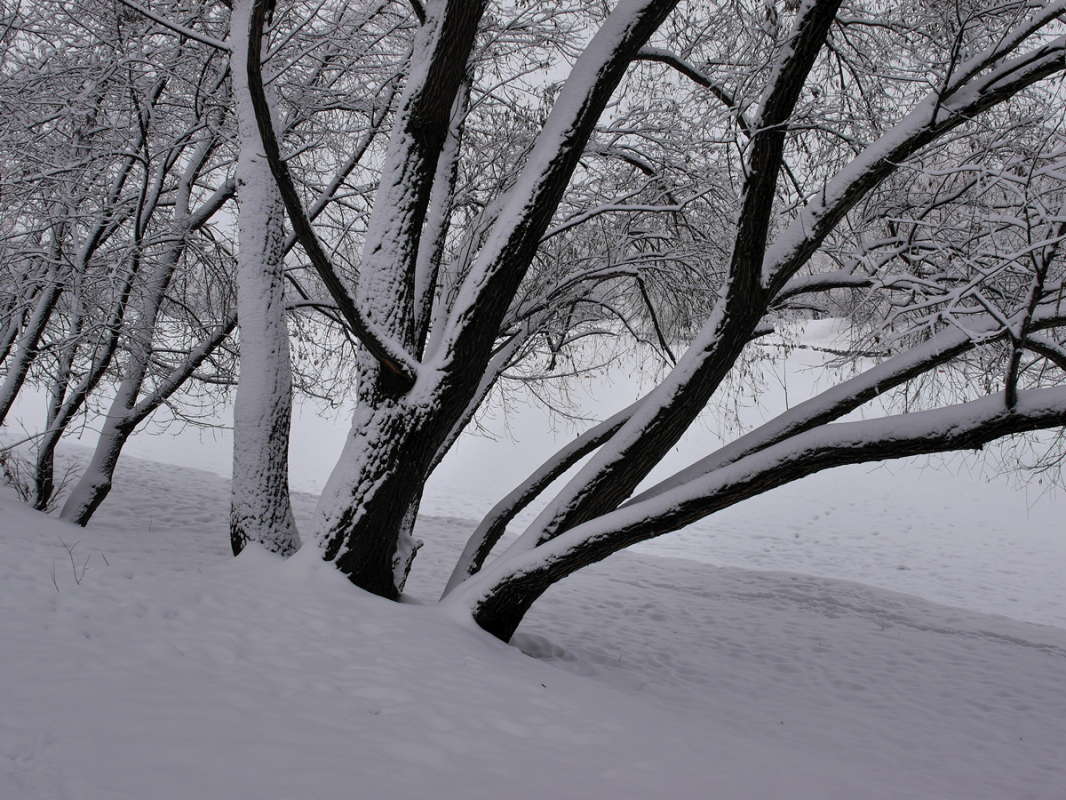 � ��������� ����� ����� ����� ��������� �� PhotoGeek.ru #����� #������ ��� �������