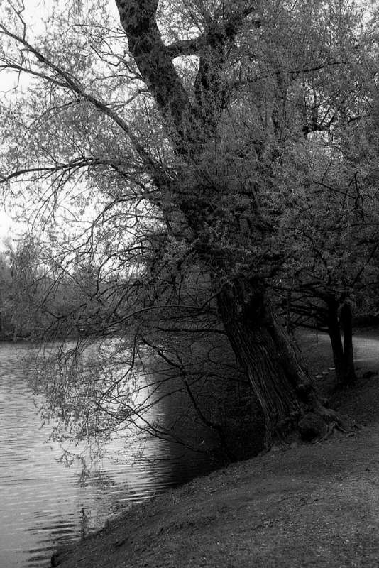 ���������� ���� ����� ����� ��������� �� PhotoGeek.ru #������ ��� �������