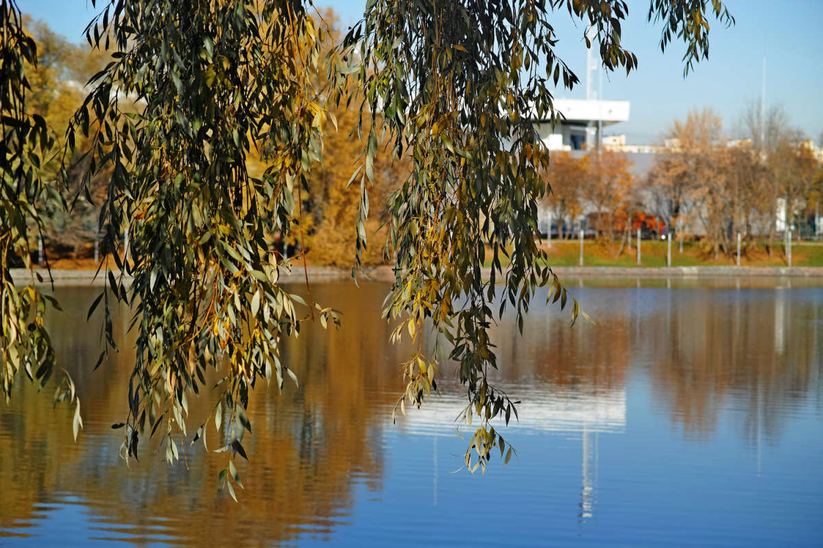 ���� ����� ����� ����� ��������� �� PhotoGeek.ru #������ ��� �������