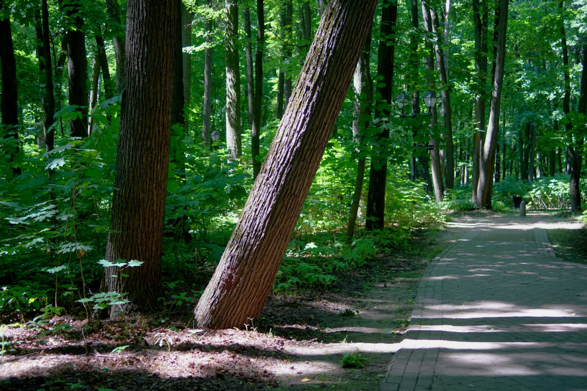 ����������� ��������� ���� ����� ����� ��������� �� PhotoGeek.ru #������ ��� �������