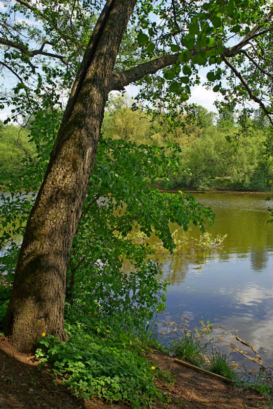 ����� ���� ����� ����� ��������� �� PhotoGeek.ru #������ ��� �������