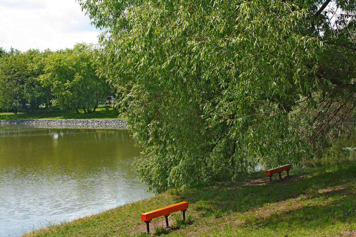 ���� ����� ����� ����� ��������� �� PhotoGeek.ru #������ ��� �������