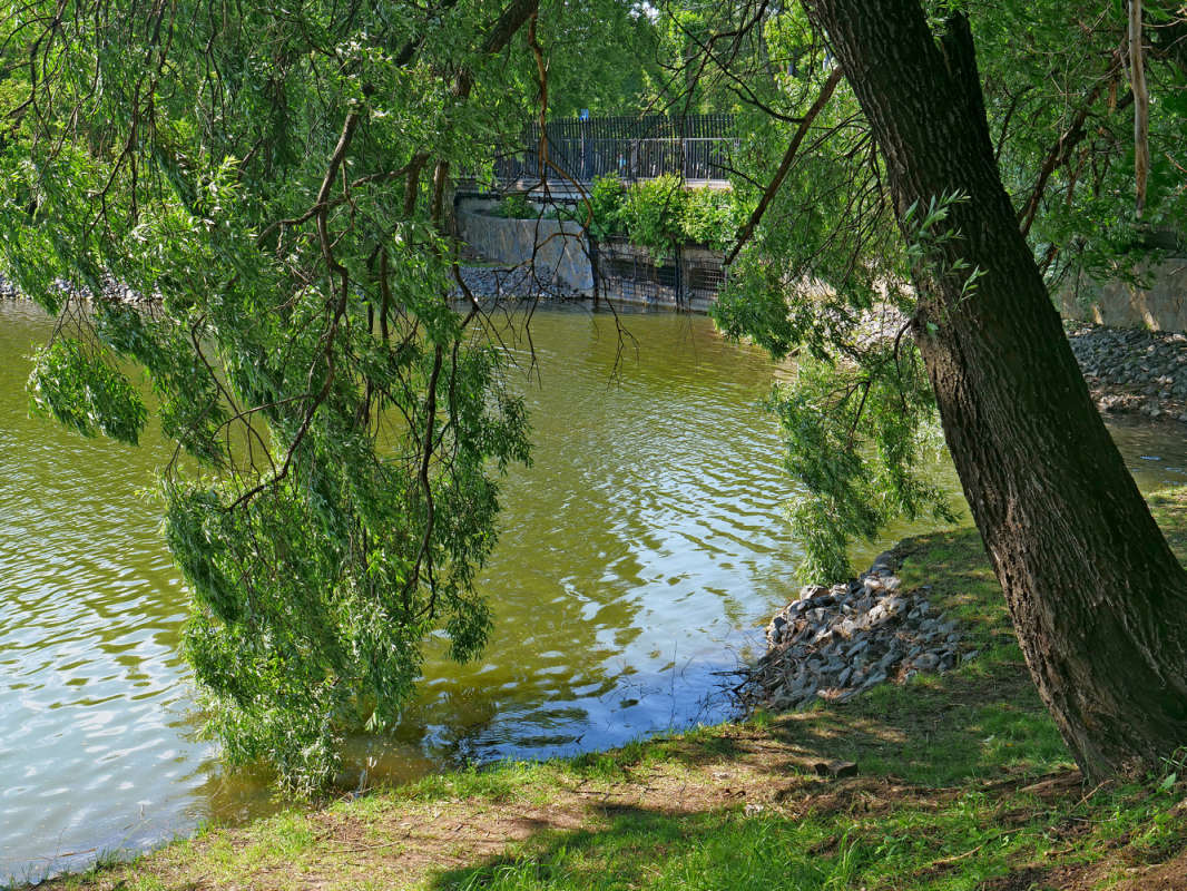 ��� ����� ����� ��������� �� PhotoGeek.ru #������ ��� �������