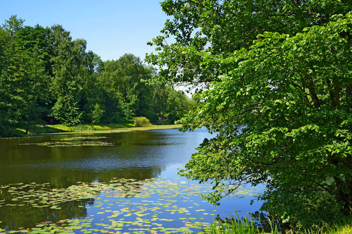 ������ ����������� ���� ����� ����� ��������� �� PhotoGeek.ru #������ ��� �������