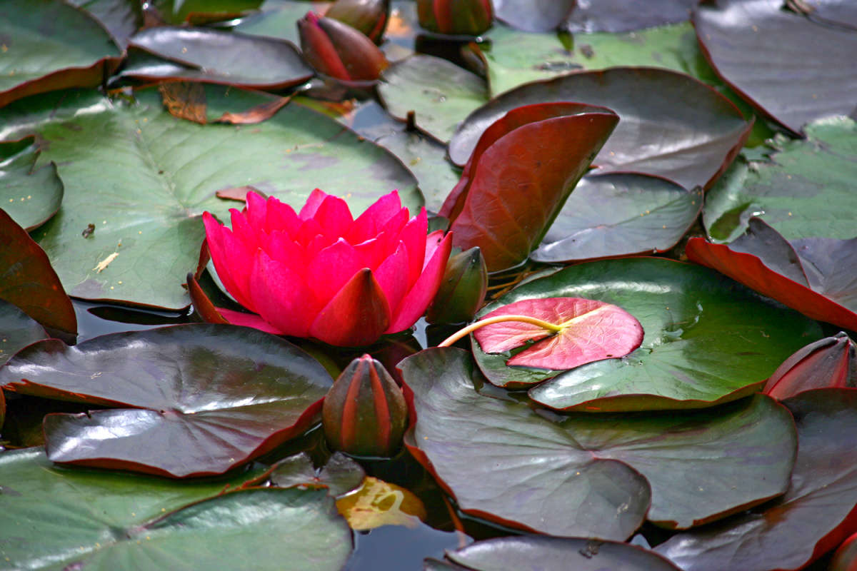 �������� ����� ����� ��������� �� PhotoGeek.ru #����� #������ ��� �������