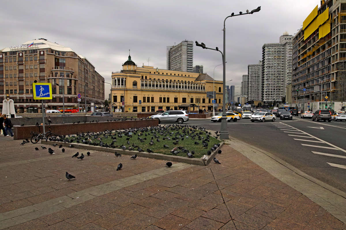 ��������� ������ ����� ����� ��������� �� PhotoGeek.ru #����� #�����������