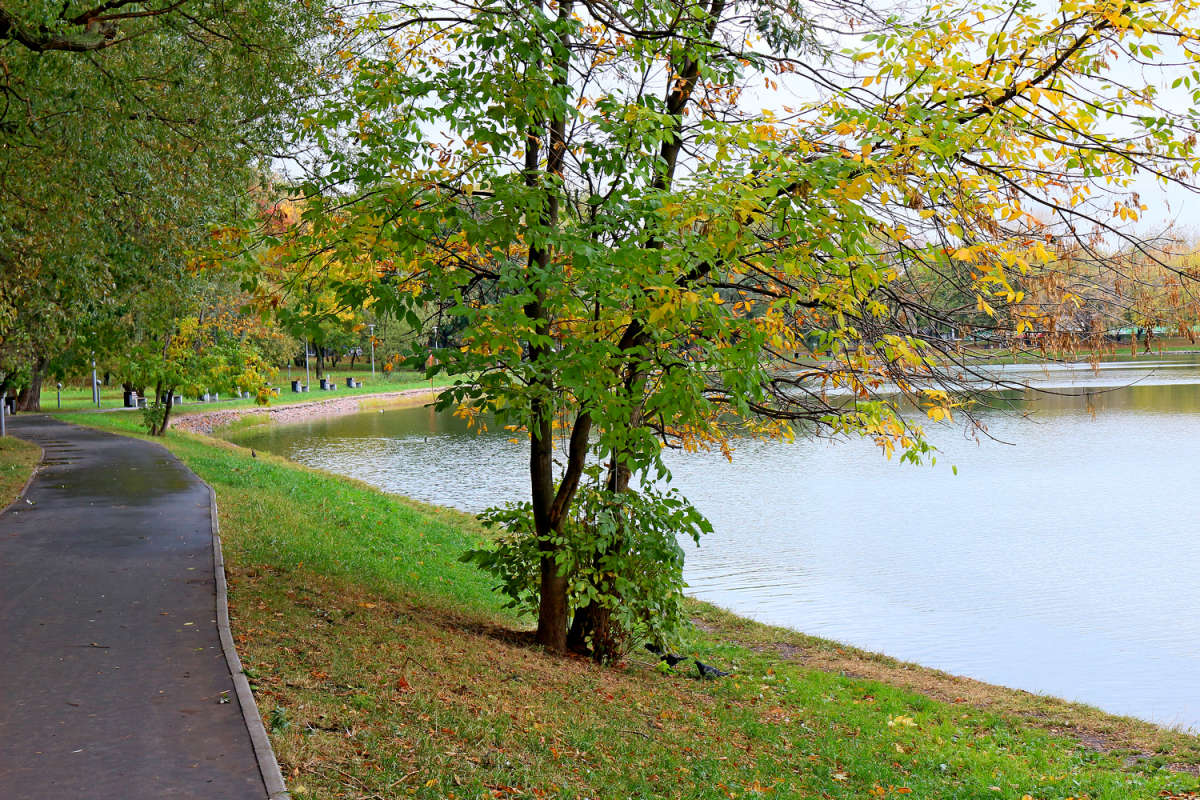 ���� ����� ����� ����� ��������� �� PhotoGeek.ru #������ ��� �������