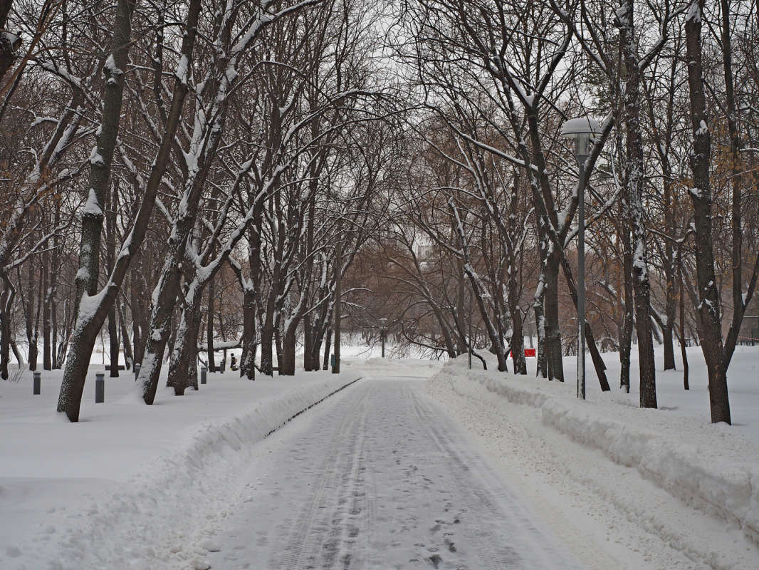 ��������� ���� ����� ����� ��������� �� PhotoGeek.ru #������ ��� ������� #����� ��������