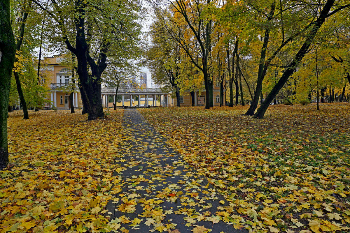 ������� ������� ����� ����� ��������� �� PhotoGeek.ru #������ ��� ������� #�����������