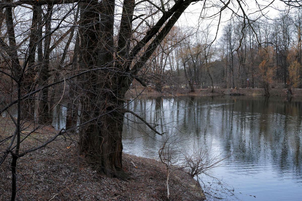 ����� ���� ����� ����� ��������� �� PhotoGeek.ru #������ ��� �������