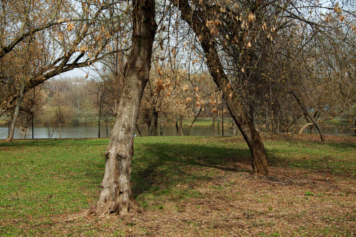 ���������� ���� ����� ����� ��������� �� PhotoGeek.ru #����� #������ ��� �������