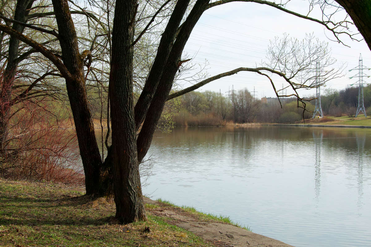 ���������� ���� ����� ����� ��������� �� PhotoGeek.ru #������ ��� �������