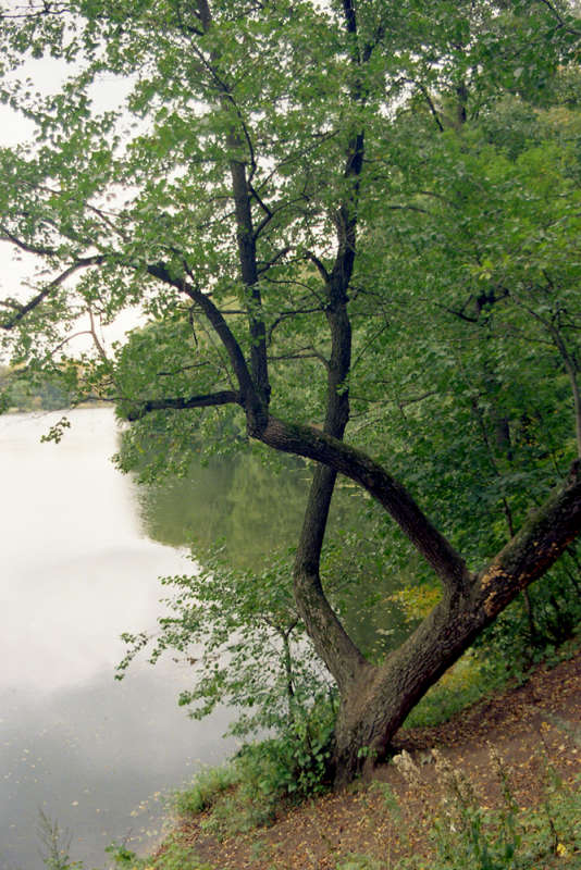 ������� ����������� ���� ����� ����� ��������� �� PhotoGeek.ru #������ #������ ��� �������