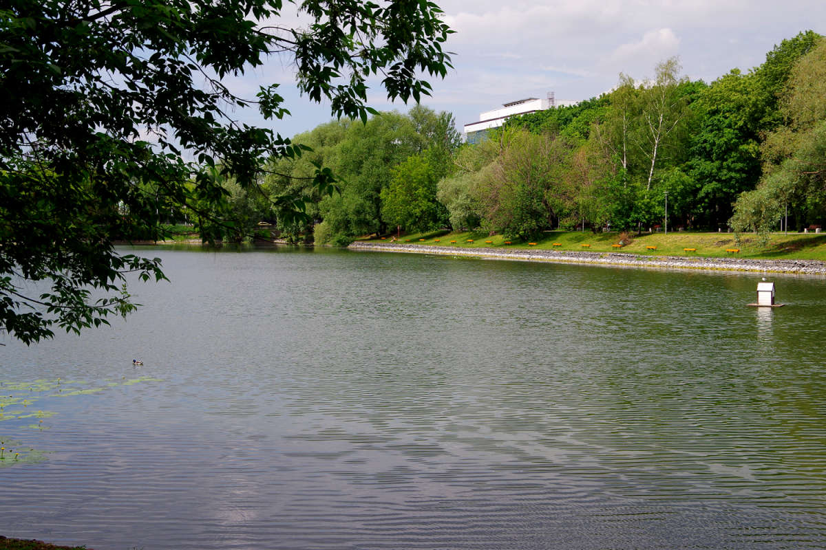 ��������� ���� ����� ����� ��������� �� PhotoGeek.ru #������ ��� �������