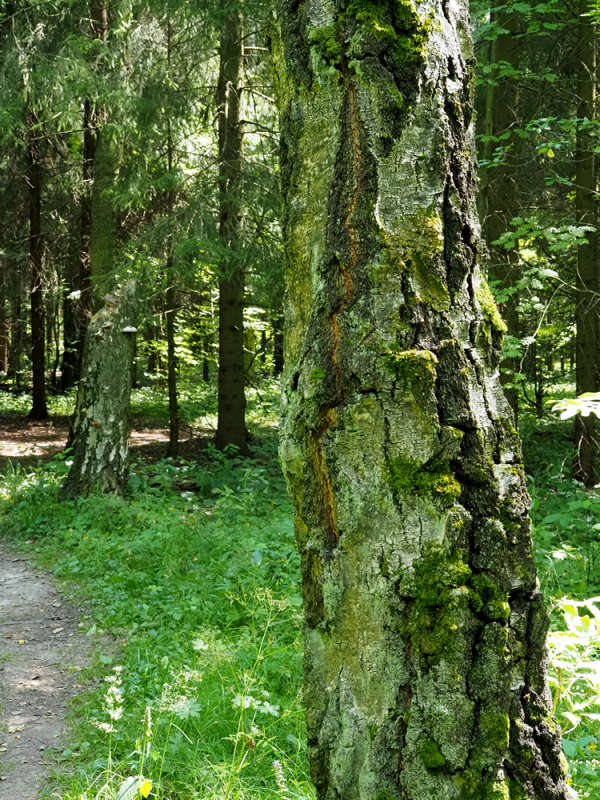 � ���� ����� ����� ��������� �� PhotoGeek.ru #������ ��� �������