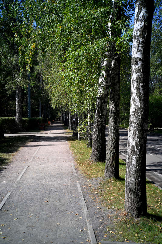 ���������� ����� ����� ��������� �� PhotoGeek.ru #������ ��� �������