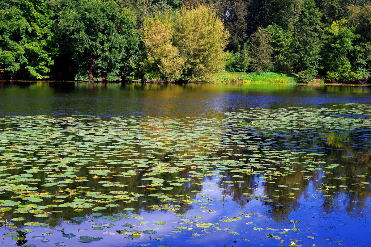 ������ ����������� ���� ����� ����� ��������� �� PhotoGeek.ru #������ ��� �������