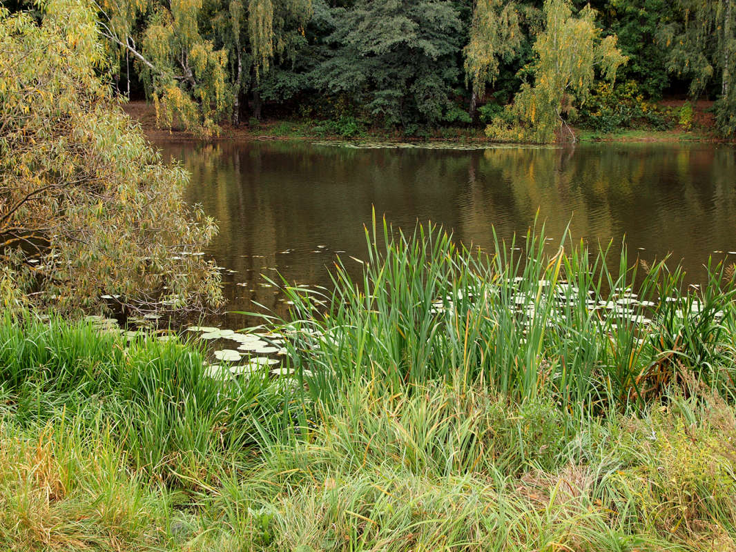 ������� ����������� ���� ����� ����� ��������� �� PhotoGeek.ru #������ ��� �������