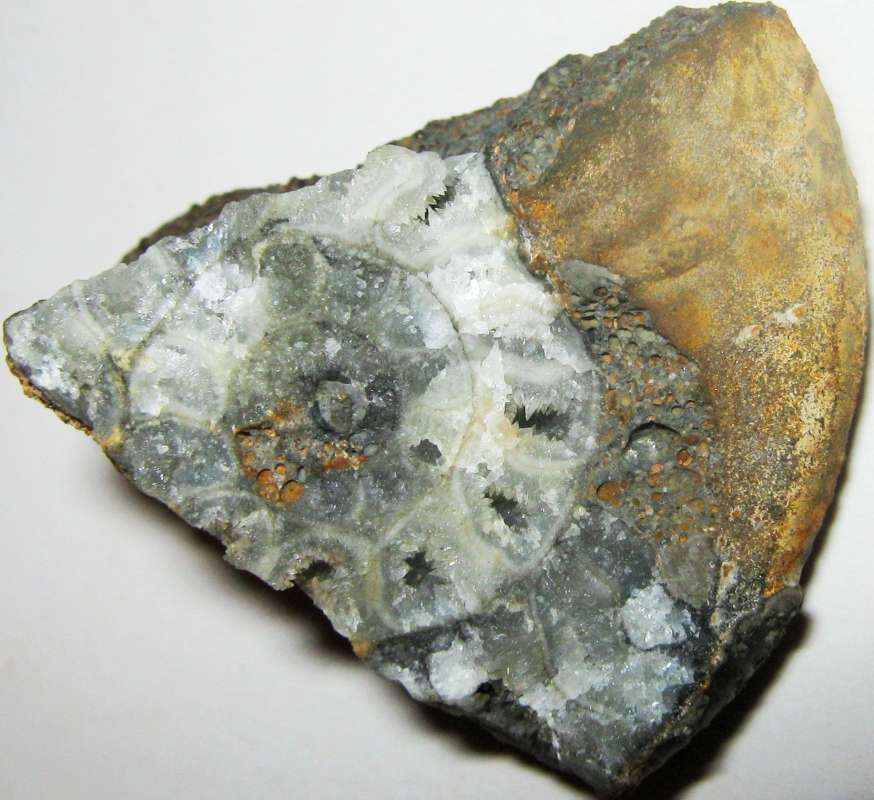 �������, �������. ��������� �������, ��������. ����� ���������� ������ �� PhotoGeek.ru #����� #����������� #�������� #������������ #�������������