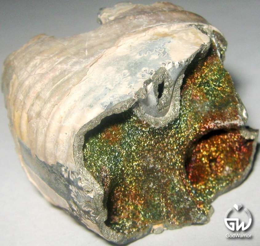 �������, �����. ��������� �������, ��������. ����� ���������� ������ �� PhotoGeek.ru #����� #����������� #�������� #������������ #�������������