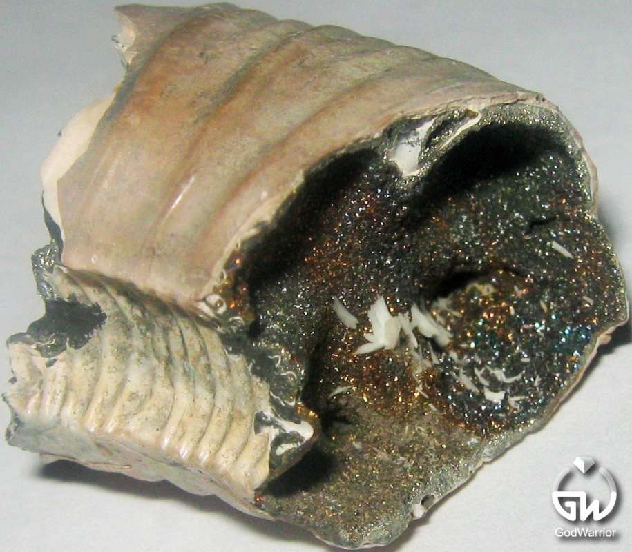 �������, �����, �������. ��������� �������, ��������. ����� ���������� ������ �� PhotoGeek.ru #����� #����������� #�������� #������������ #�������������