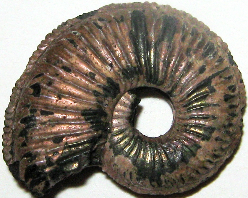 �������. ��������. ����� ���������� ������ �� PhotoGeek.ru #����� #������������ #�������������