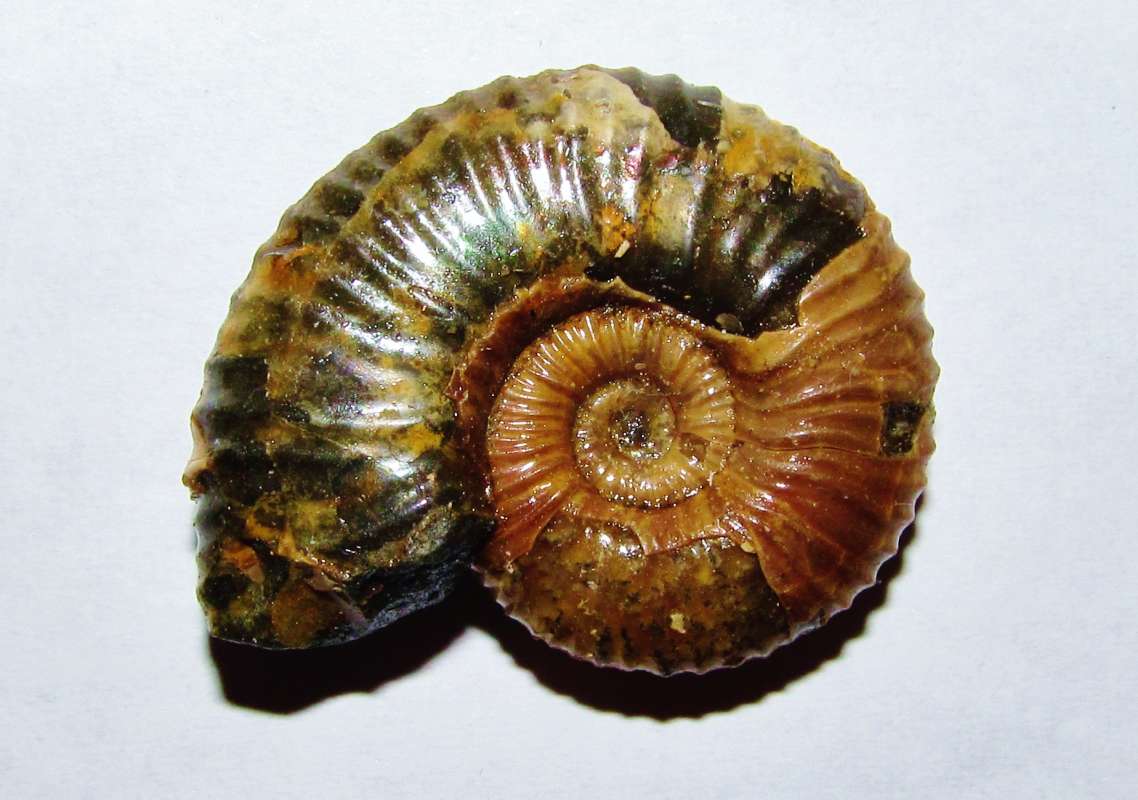 ������� ����� ���������� ������ �� PhotoGeek.ru #����� #������������ #�������������