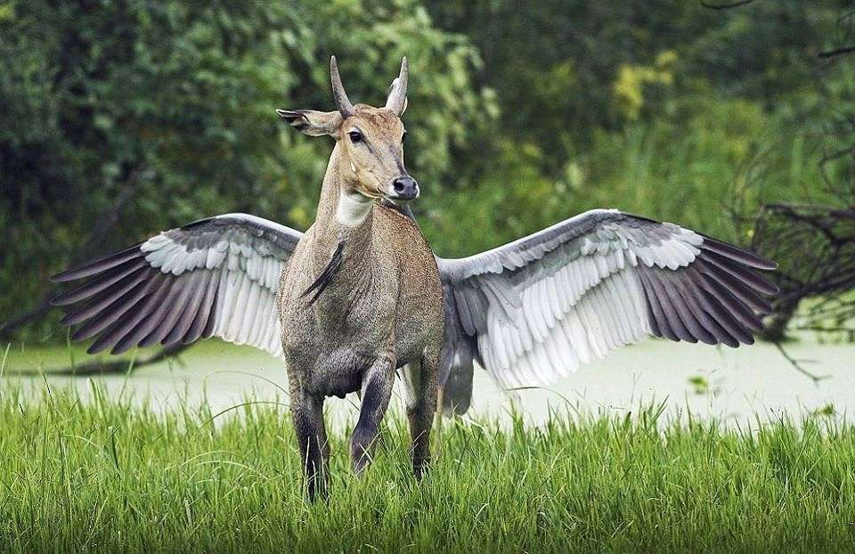 ... ����� ����� �������� �� PhotoGeek.ru #�������� ���