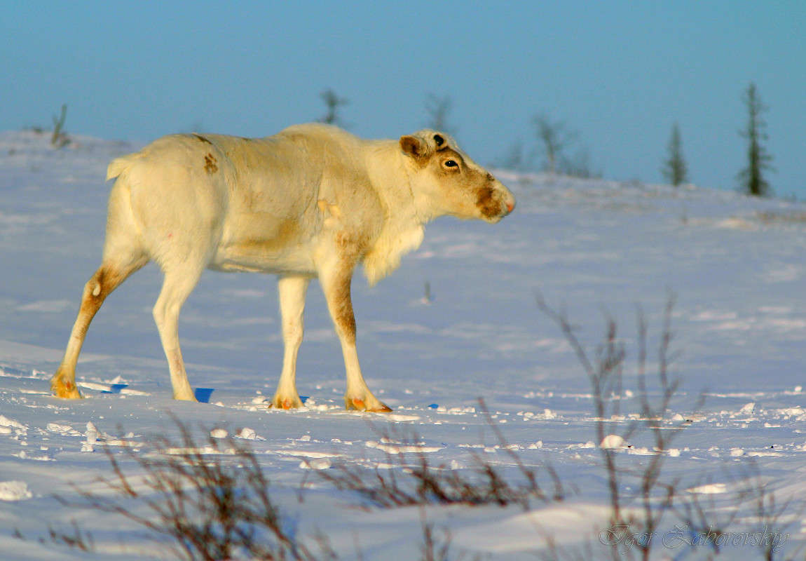 ������ ����� ����� ����������� �� PhotoGeek.ru #�������� ��� #������ ��� ������� #����� ��� ��� ��������� #���������