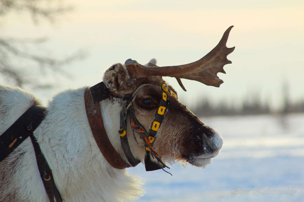 ����� ����� ����� ����������� �� PhotoGeek.ru #�������� ��� #������� #��������